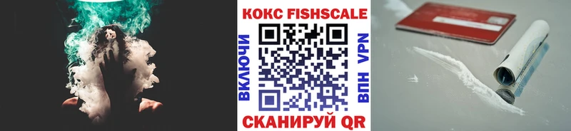 COCAIN Fish Scale  Топки 