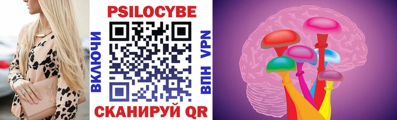 Псилоцибиновые грибы Psilocybe  сколько стоит  Топки 
